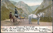 Postcard from about 1900 showing a horse and cart, one passenger and one young coachman. The picture shows the view from Stalheim down into the valley of Nærøydalen.