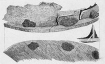 Fragment of a wooden vessel, tightened with putty. (From O. Rygh: Norske Oldsager)