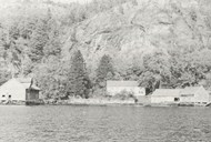 In this picture we can see some of the buildings at Hellevik. Furthest to the left is the big sea warehouse. Just to the left of the residence we get a glimpse of the tavern, partly hidden behind the tall spruce. To the right of the residence we see the boathouse and the seine house. Behind the boathouse we can barely see the roof of the "eldhus".