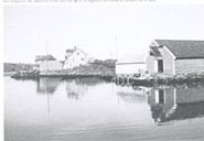 Husøyvågen seen from the north. The fish shed to the left and the general shop to the right.