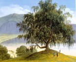 'The sacred birch at the farm Slinde. Remnant from Balder's copse' is the title of Johannes Flintoe's gouache painting from the 1820s.
