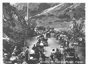 At Myrdal station horse carts waited for the trains from Bergen and Kristiania (Oslo). During the first few years there was no stable for the horses at Myrdal. In 1918, the "Bergen Dyrebeskyttelsesforening" (Federation for Animal Protection) allocated 200 kroner to build a stable. 
