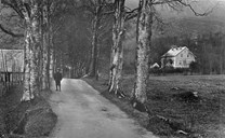 Claus Frimann made Davik greener. With the confirmation candidates he collected saplings of ash, elm, oak and pine and made a tree-lined road from the vicarage to the church. In the picture we can see Birger Indredavik (1901-1988) on his way to school through the birch-lined road about 1910-1912. To the right we can see the new vicarage built in 1901 that was destroyed by a fire in 1986. "In my mind I can see him wandering on the sloping fields surrounding his residence, amidst a growth of lush deciduous trees and flowering bushes". (Johan Sebastian Welhaven visited Frimann at the age of 75. In 1851, Welhaven published a book with a selection of Frimann texts, thinking it was a shame that this fine poet would be forgotten.)