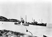 The "Bell" and the "Storeggen" loading from a herring catch near Ospa in Solund. The "Bell" had its name after the shipowner's faithful hunting dog. Hess was very well updated, so when he had a purse seine shortly after the turn of the century, he was one of only four with such equipment. He owned several boats as well, jointly with other shipping companies.