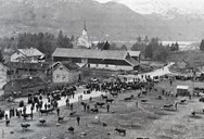 Every year a great cattle fair took place at Tåene in Førde. Here can be seen the event in 1905. The show was a contribution in the work to improve the quality of domestic animals, but was also a popular meeting-place. Here old acquaintances could be seen, news heard, and good and bad purchases and sales were made. The union questions were very likely hot topics that summer.