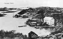 The population was scattered, and the trade posts were important, as meeting-places and as centres for business with goods and services. Buskøy was for a long time one of the most important trade posts. Georg Balchen Hess, 1848-1922, operated the post with salting of fish, refrigeration with ice, and export of salmon and lobster. His son Jan was the owner of fishing-vessels and operated large-scale fishing and seal hunting.
