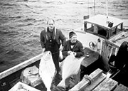 The first engine for small boats was installed in Solund in 1902-1903. After some decades engines became more common, especially for use to and from the fishing grounds. In the beginning they stopped the engine during fishing, so as to save fuel. <br />
Here two proud fishermen are able to show off the favourite fish one could catch: the halibut. Hans Storøy and Norvald Jakobsen have been at sea at Skorgenesen. The Saab engine was an extremely reliable work horse. Hans Storøy knew about a number of fishing "méd".