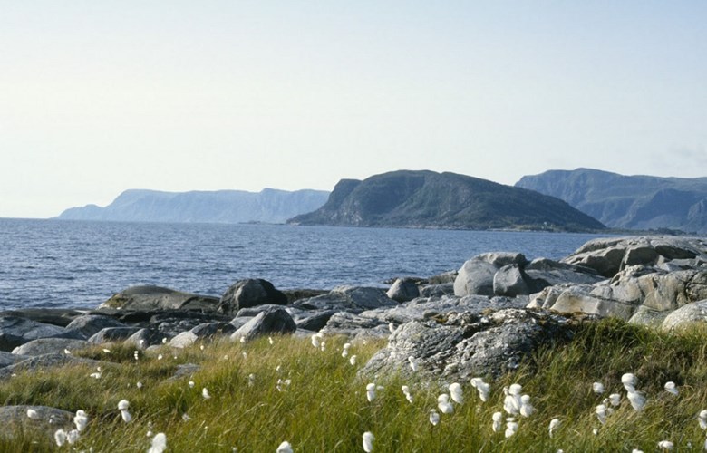 Selja seen from the mainland with the peninsula of Stadhalvøya in the background. <br /> 'The island called Selje is about five kilometres in circumference. There used to be two farms on the island, but they are now deserted. On its western side there are remnants of a monastery and a church where the tower wall still stands'. This was written by Hans Michael Seehus in his <i>Description of Nordfjord </i> in 1763.
