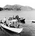 A youthful team is closing a herring catch near Nesøy in the Nesefjord. The foreman, Johannes Nesøy, is standing in oilskins with his back to the camera. The crew are children from the neighbourhood. The Nesefjord has two entrances from the south and was an unusually good place for the summer fisheries.