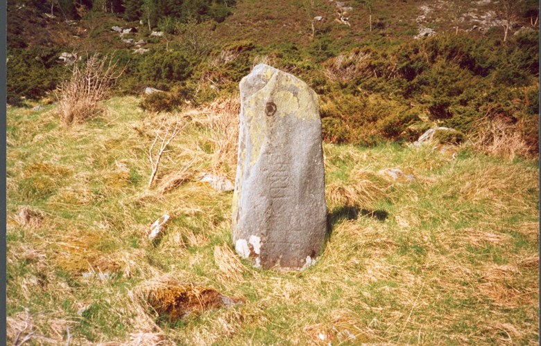 The runic stone "south along the shore" on the island of Barmen. It is located between Korsneset and the shore out towards Røyset, only 20-30 metres from the road.