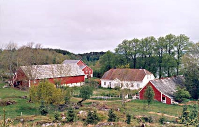 The farmyard at Erikstad seen towards the north with the main residence, the "Drengestova" and "Kjellarhuset" to the right and the old barn "Gamlefjøsen" and the newer barn to the left. A gigantic farmyard tree between the barn and the main building had to be felled in 2003.