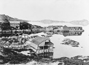 Skjerjehamn in the boom period around 1900.