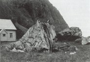 In front of the houses at Vetvik there are several boulders, all named: Belesteinen, Bjørnasteinen, Synnevesteinen, Krekflatsteinen, Djupesteinen, Sjøbusteinen, Kyrkjesteinen and Seglsteinen. Most likely the picture shows the first two.