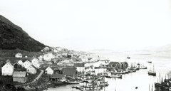 Kalvåg Harbour during the fisheries some time in the 1930s.
