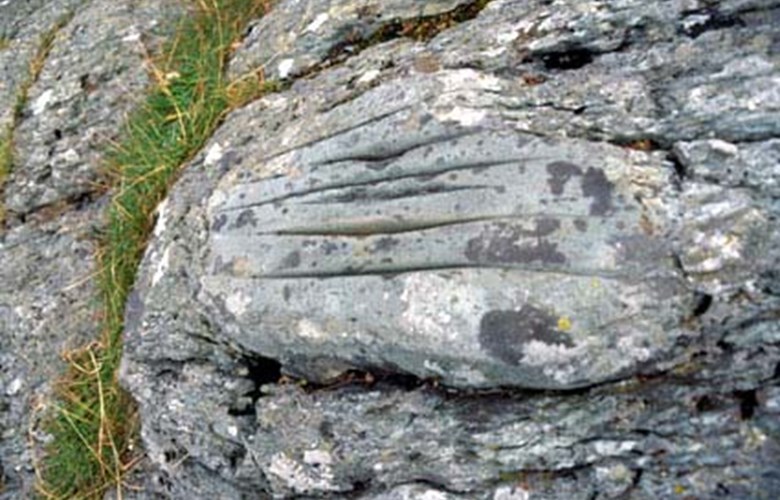 One of the two stones with grooves at Likberget at Utvær. The rock slopes down to the sea, and the stone lies approximately three metres above sea level. It is a hard, greyish-green lump in solid rock, 50 by 30 centimetres. Folklore has it that the Vikings sharpened their swords here. The fact is that people from Utvær and ship crews had good results when they sharpened their iron with these good whetstones.