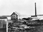The remnants of the first cannery which burnt down in 1920. Only the smokestack remains. In the middle of the picture is the steamship terminal which escaped the flames.